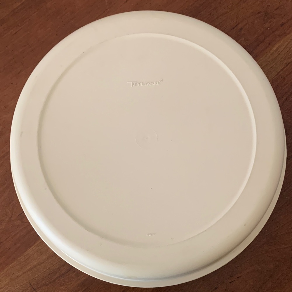 Large Tupperware Tray with Lid
